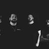 Fénix - Colombia