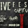 Vive Fest II
