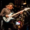 Billy Sheehan, Mr. Big, Winery Dogs