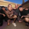 Biohazard, Groove metal, hardcore, USA, 2025